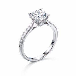 Aurevella Zenith Halo Ring