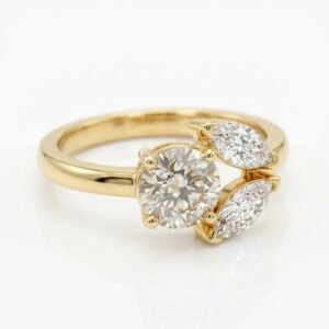 The Aria Ring